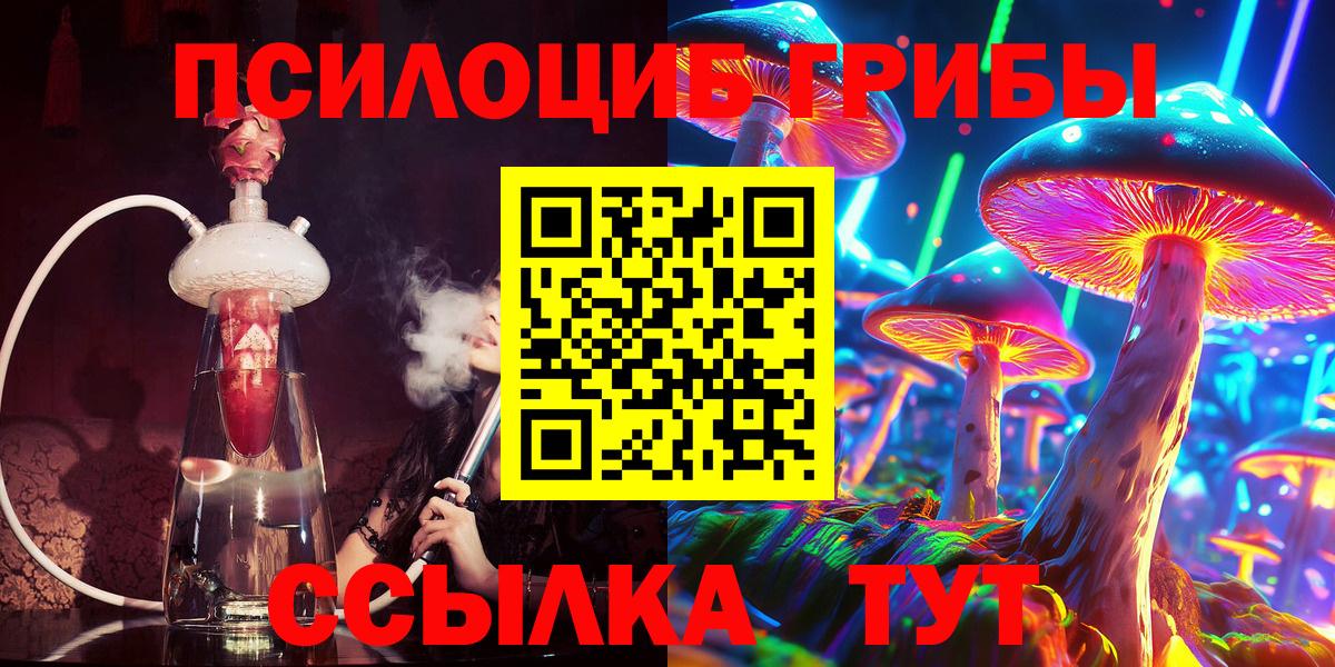 сколько стоит  Вход с VPN  Барабинск  Галлюциногенные грибы Psilocybine cubensis 