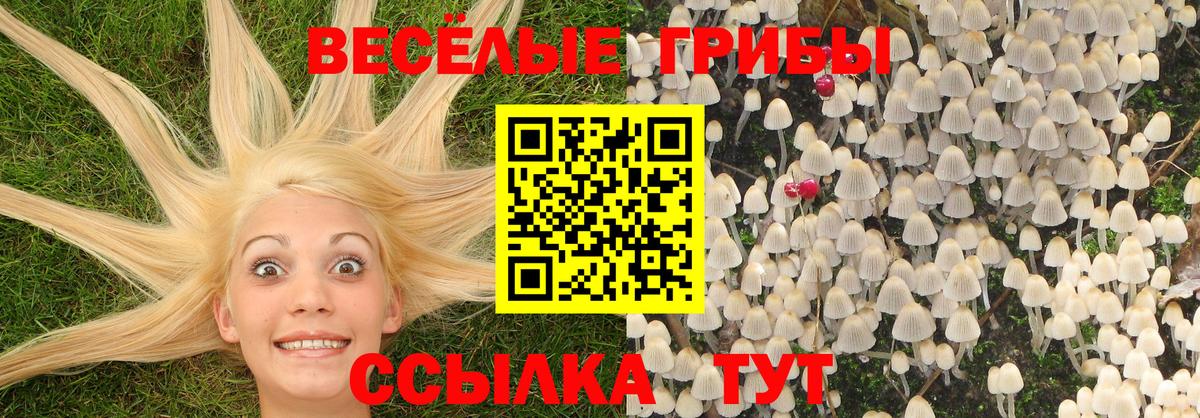Псилоцибиновые грибы GOLDEN TEACHER Барабинск